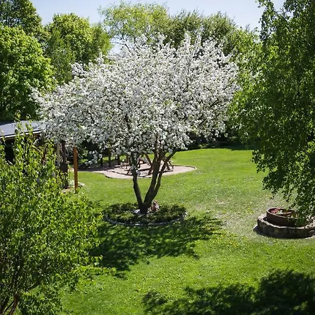 Apartamenty Osowa Nad Jeziorem Okmin Suwalki Exterior photo